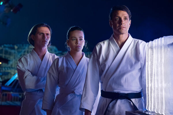 Poster phim Võ Đường Cobra Kai (Phần 2)