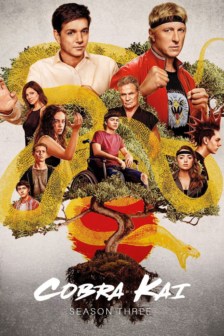 Hình ảnh phim Võ Đường Cobra Kai (Phần 3)
