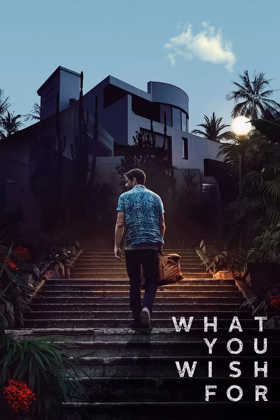 Hình ảnh phim What You Wish For