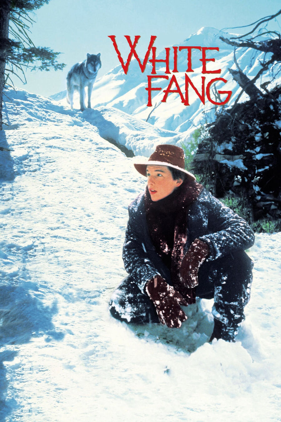 Hình ảnh phim White Fang