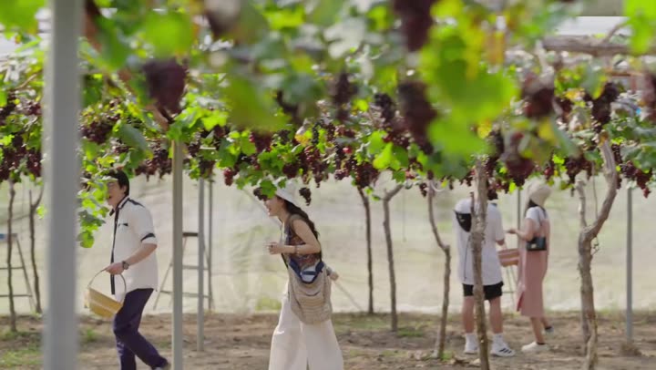 Hình ảnh tập 2 Misty Hearts