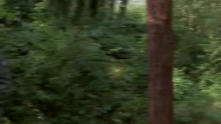 Tập 19 phim Stargate SG-1 (Phần 4)