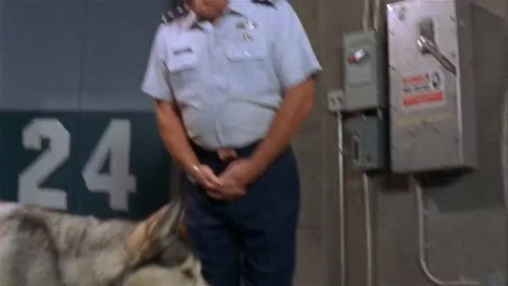 Hình ảnh tập 13 Stargate SG-1 (Phần 2)