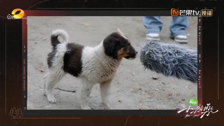 Hình ảnh tập 3 Dũng Khí Nho Nhỏ