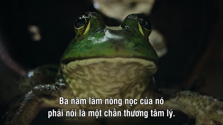 Tập 1 phim Ác Mộng Của Thiên Nhiên