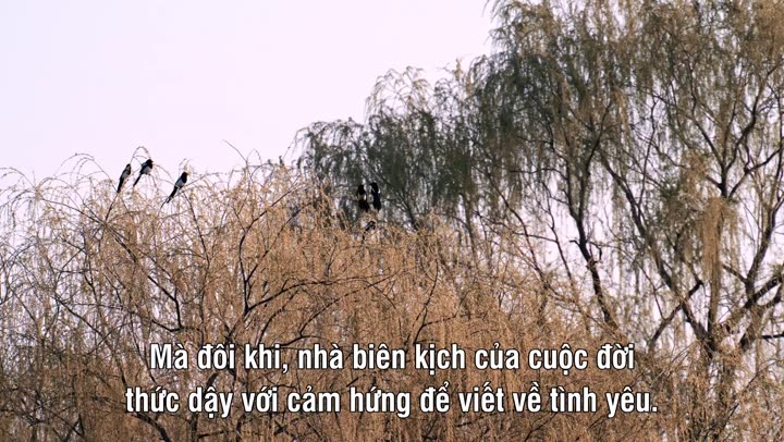Hình ảnh tập 1 My Korean Boyfriend