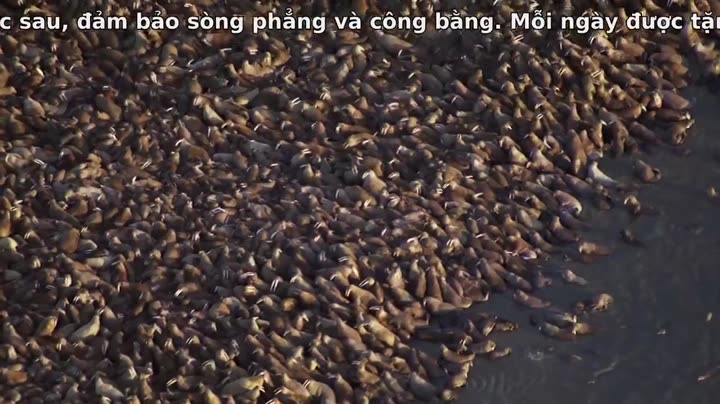 Tập 7 phim Hành Tinh Băng Giá