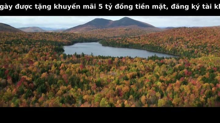 Hình ảnh tập 1 Bad Vegan: Danh tiếng. Lừa đảo. Trốn chạy.