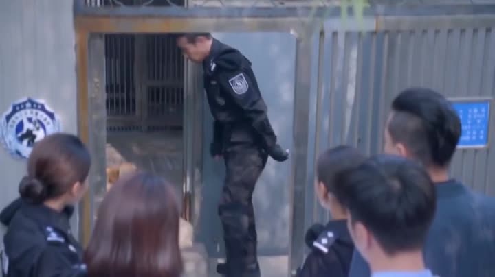 Tập 5 phim Hoa Khôi Và Cảnh Khuyển