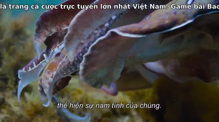 Hình ảnh tập 4 Động vật (Phần 1)