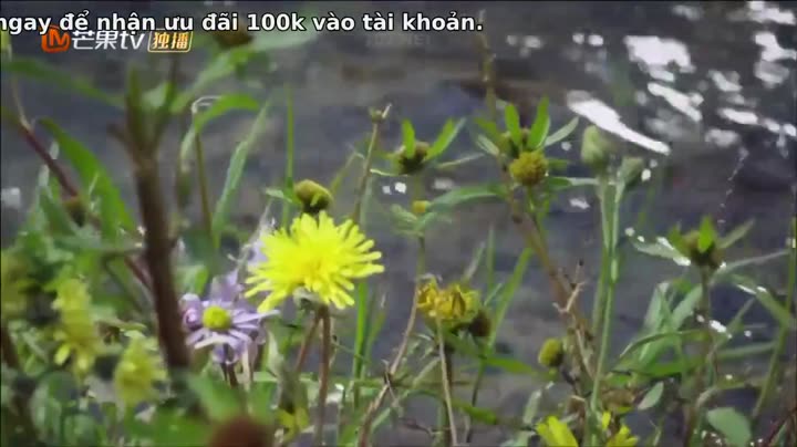 Hình ảnh tập 3 Lan Lăng Vương Phi