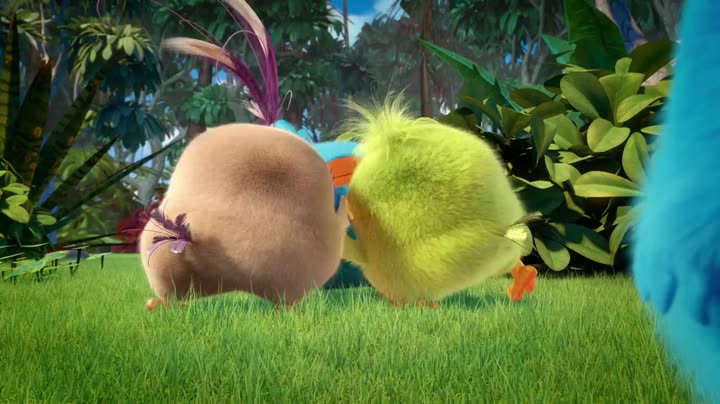 Hình ảnh tập 5 Angry Birds (Phần 3)