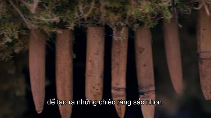 Hình ảnh tập 7 Đại chiến hoa tươi