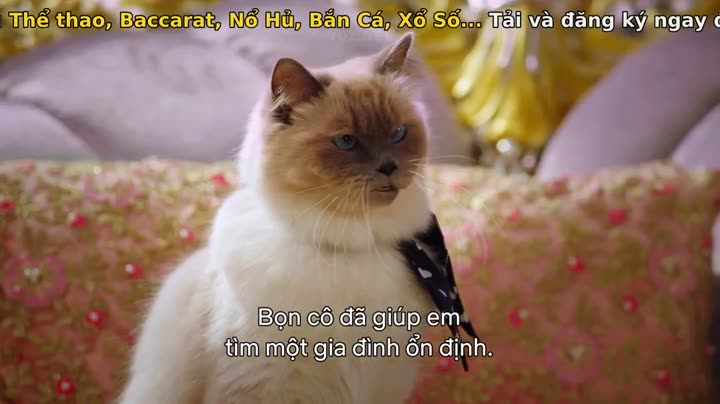 Tập 8 phim Học viện cún con (Phần 1)