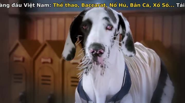 Tập 4 phim Học viện cún con (Phần 2)