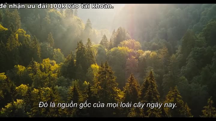 Tập 6 phim Khoa học và lịch sử cùng Felipe Castanhari