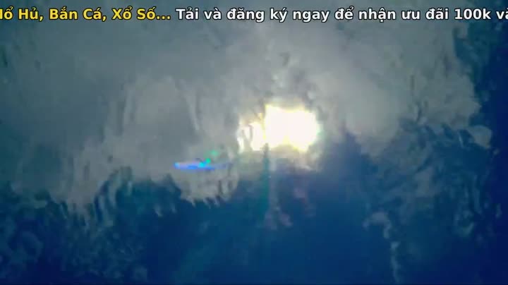 Tập 1 phim Nghệ thuật của tự nhiên (Phần 3)