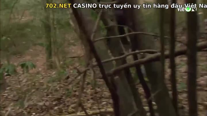 Hình ảnh tập 3 Phi Hổ 1