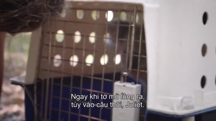 Hình ảnh tập 5 Thế giới gấu túi của Izzy (Phần 1)