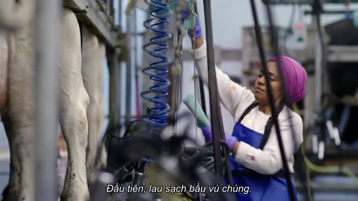 Hình ảnh tập 4 Vào bếp cùng Nadiya