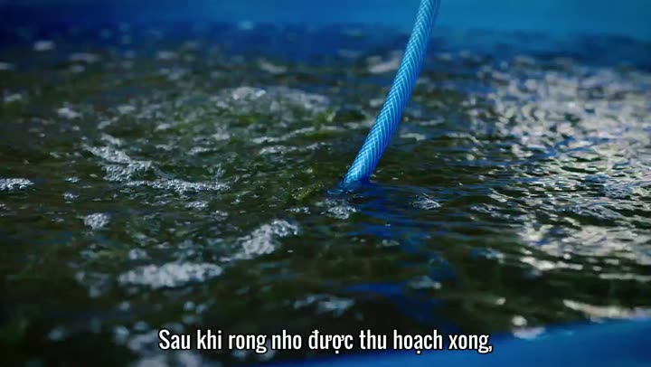 Hình ảnh tập 3 Luke Nguyễn trên chuyến tàu Bắc Nam