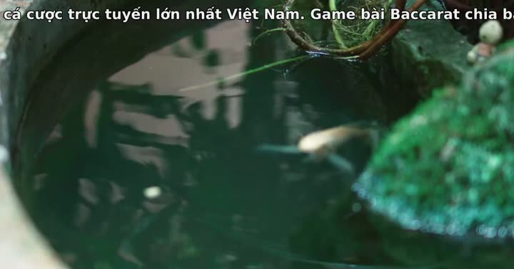 Tập 11 phim Tâm Ý Của Đối Phương