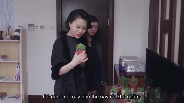 Tập 7 phim Câu chuyện cảm động nhất