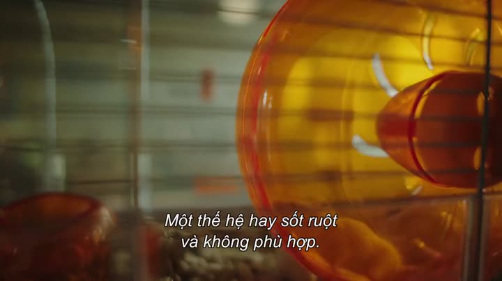 Tập 5 phim Hạnh phúc! (Phần 1)