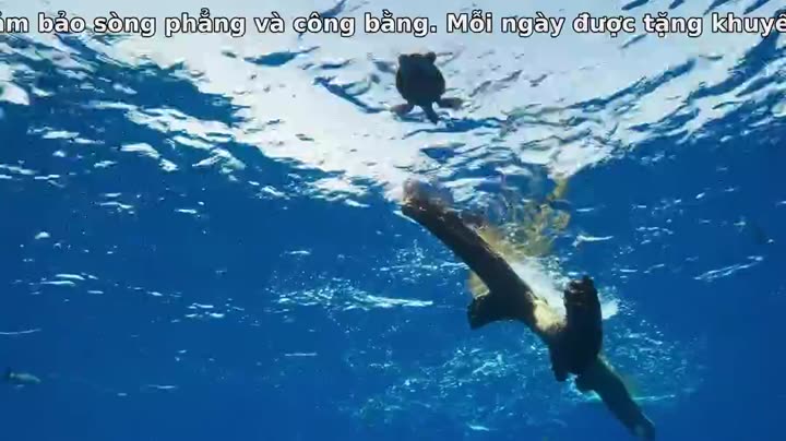 Tập 4 phim Đại Dương Sâu Thẳm 2