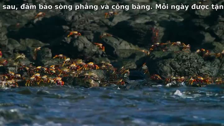 Tập 6 phim Đại Dương Sâu Thẳm 2