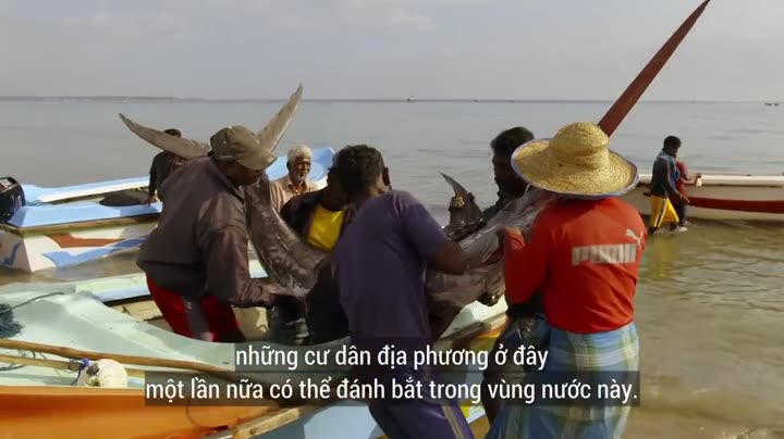 Hình ảnh tập 7 Đại Dương Sâu Thẳm 2