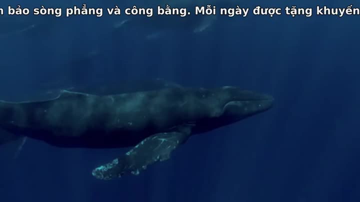Tập 1 phim Câu Chuyện Cuộc Sống