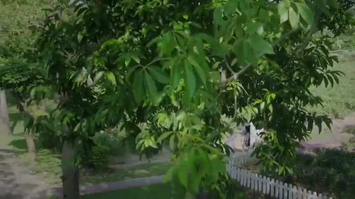 Tập 27 phim Vua Mạo Hiểm Vệ Tư Lý