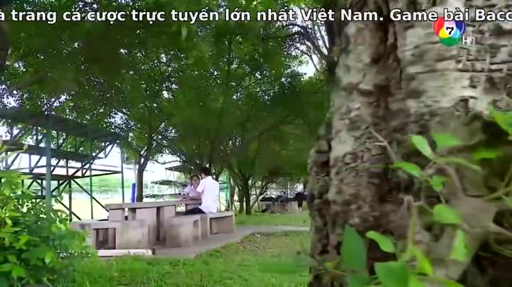Hình ảnh tập 26 Hoa Cỏ Lau Trong Bão