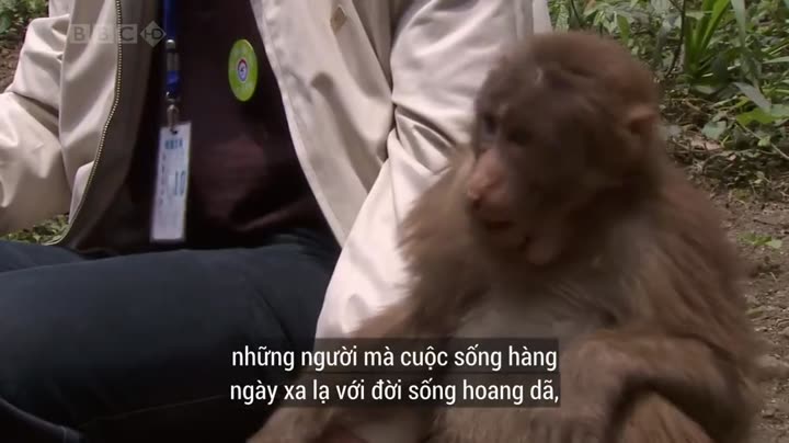 Hình ảnh tập 5 Thiên Nhiên Hoang Dã Trung Quốc