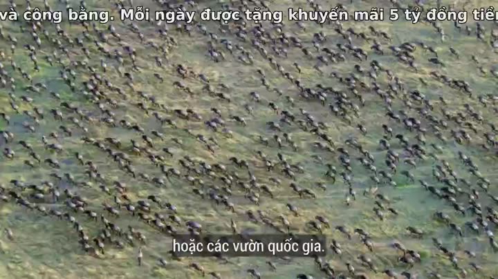 Tập 3 phim 60 Năm Trong Hoang Dã