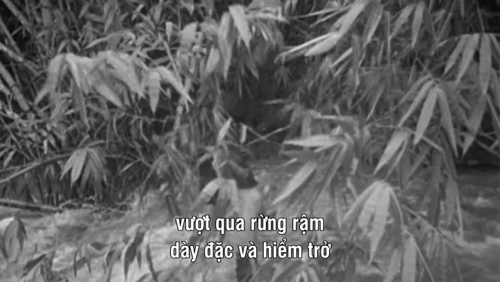 Tập 14 phim Chiến Tranh Thế Giới