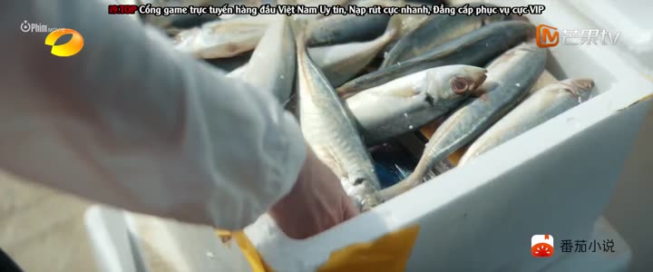 Tập 6 phim Đêm Đoàn Tụ Ấy