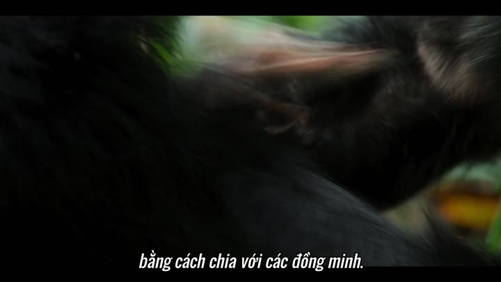 Tập 3 phim Đế chế tinh tinh