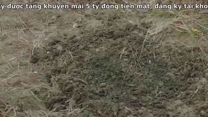 Tập 14 phim Người Vợ Nguy Hiểm Của Tôi